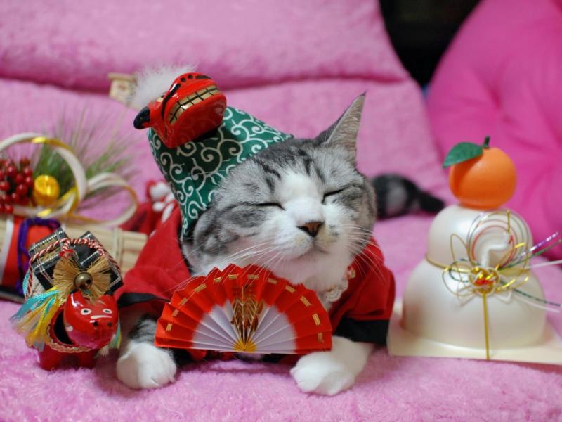 今年も走りましょう